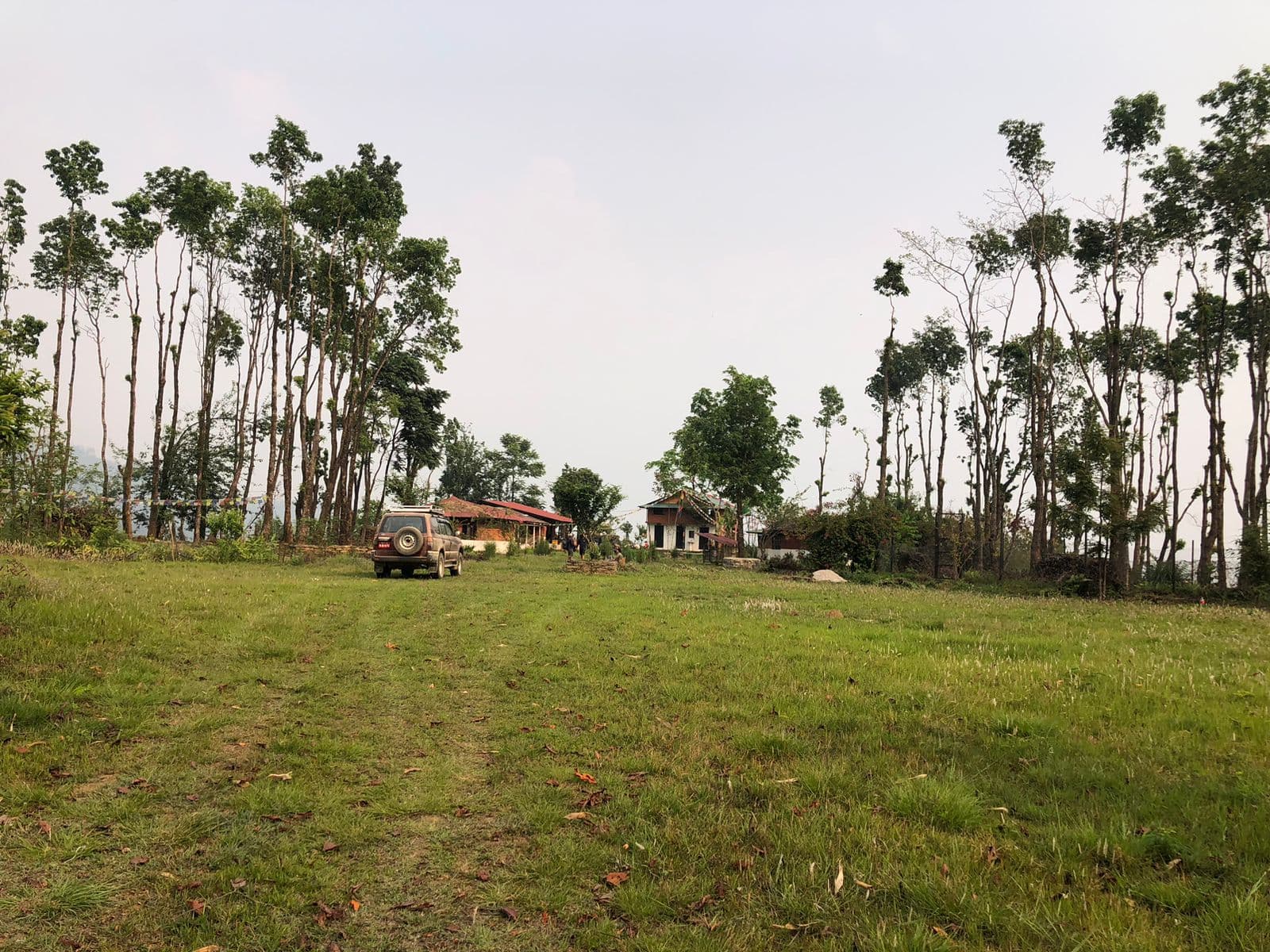 Landscape